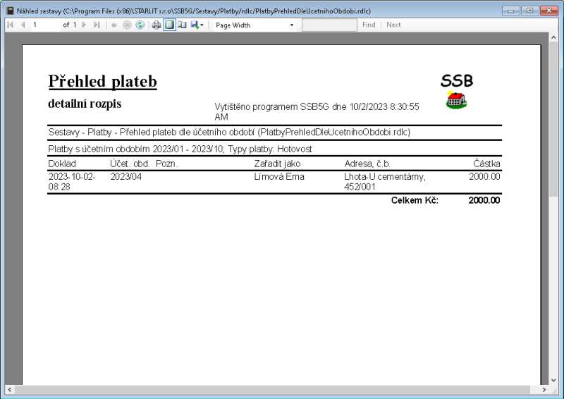 platby.prehled_dle_ucetniho_obdobi.nahled.1.png platby.prehled_dle_ucetniho_obdobi.nahled.1.png